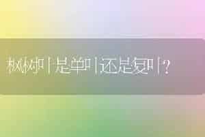 枫树叶是单叶还是复叶？