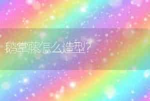 鹅掌藤怎么造型？