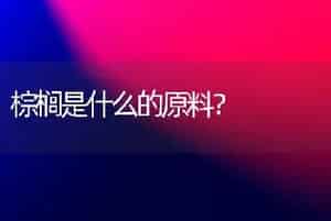 棕榈是什么的原料？