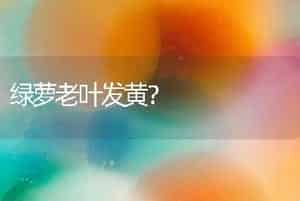 铁树不会开花，也不能结果什么意思？