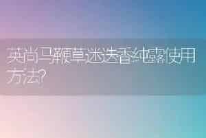 紫叶李规格？