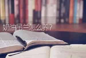 黑天鹅叶片卷是怎么回事？