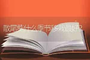 散尾葵什么季节移栽最好？