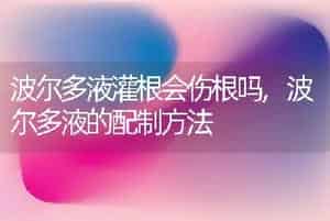 波尔多液灌根会伤根吗,波尔多液的配制方法