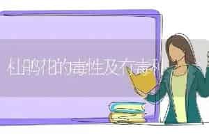杜鹃花的毒性及有毒种