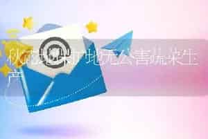 秋露地保护地无公害蔬菜生产