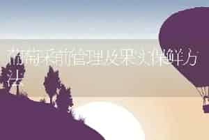 葡萄采前管理及果实保鲜方法