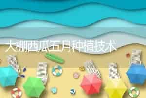 大棚西瓜五月种植技术