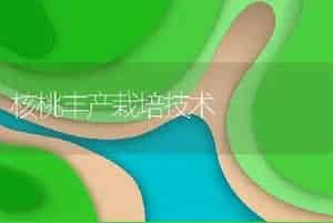 核桃丰产栽培技术