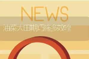 油菜大田期巧施多效唑