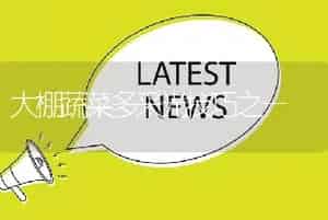 大棚蔬菜多采光技巧之一