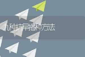 九种抗旱播种方法