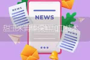 甜玉米青棒保鲜加工技术