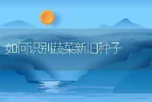 如何识别蔬菜新旧种子