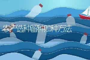 农户选种留种贮种方法