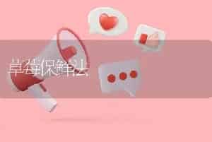 草莓保鲜法