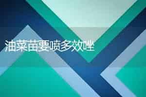 油菜苗要喷多效唑