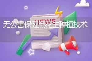 无公害保健黑花生种植技术