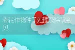 春花作物种子处理及除草意见