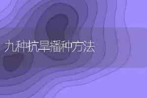 九种抗旱播种方法