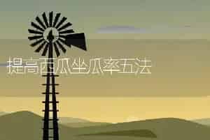 提高西瓜坐瓜率五法
