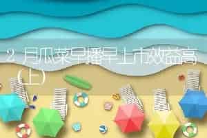 2月瓜菜早播早上市效益高（上）