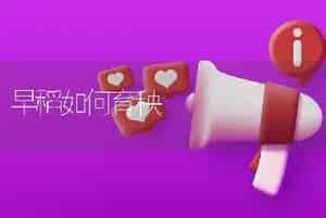 早稻如何育秧