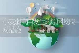 小麦弱黄苗发生的原因及应对措施