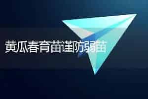 黄瓜春育苗谨防弱苗