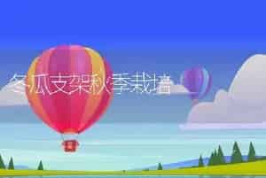 冬瓜支架秋季栽培