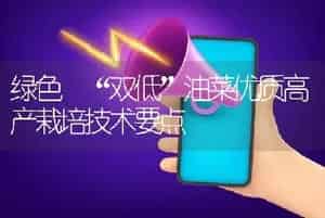绿色 “双低”油菜优质高产栽培技术要点