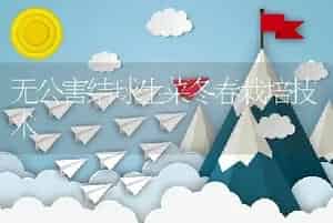 无公害结球生菜冬春栽培技术