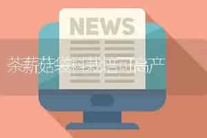 茶薪菇袋料栽培可高产