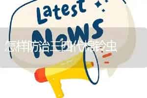 怎样防治三四代棉铃虫