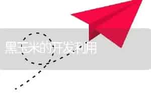 黑玉米的开发利用