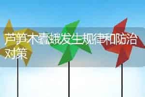 芦笋木蠹蛾发生规律和防治对策