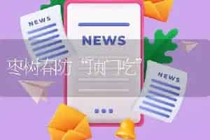 枣树春防“顶门吃”