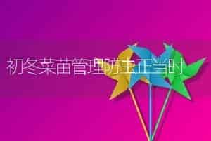 初冬菜苗管理防虫正当时