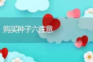 购买种子六注意