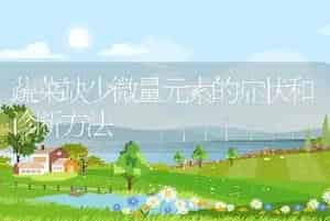 蔬菜缺少微量元素的症状和诊断方法