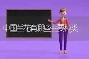 中国兰花有哪些主要种类