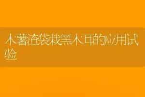 木薯渣袋栽黑木耳的应用试验
