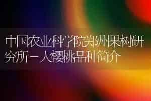 中国农业科学院郑州果树研究所－大樱桃品种简介