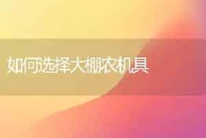 棚室外生菜栽培技术