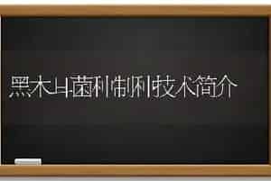 黑木耳菌种制种技术简介