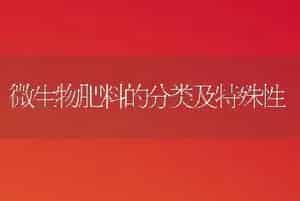 出口青花菜标准化栽培技术