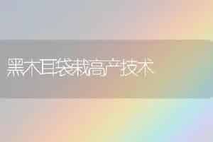 黑木耳袋栽高产技术