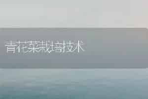 青花菜栽培技术