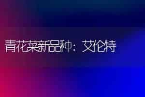 青花菜新品种：艾伦特