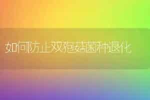 玫瑰高效栽培技术-花卉苗木养护管理